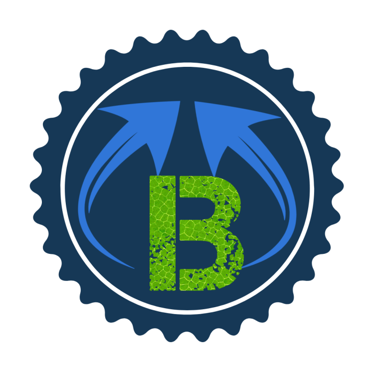 BCD logo 2.png